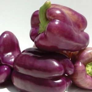 purple beauty pepper